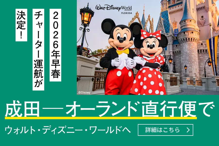 Prayoga Saeful　送料分 サンライン サンライン/SUNLINE シグロンPEX8 150m 0.5, 0.6