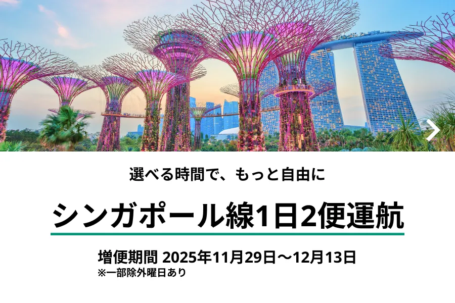 pykc様❣️専用ページ ZIPAIR公式サイト